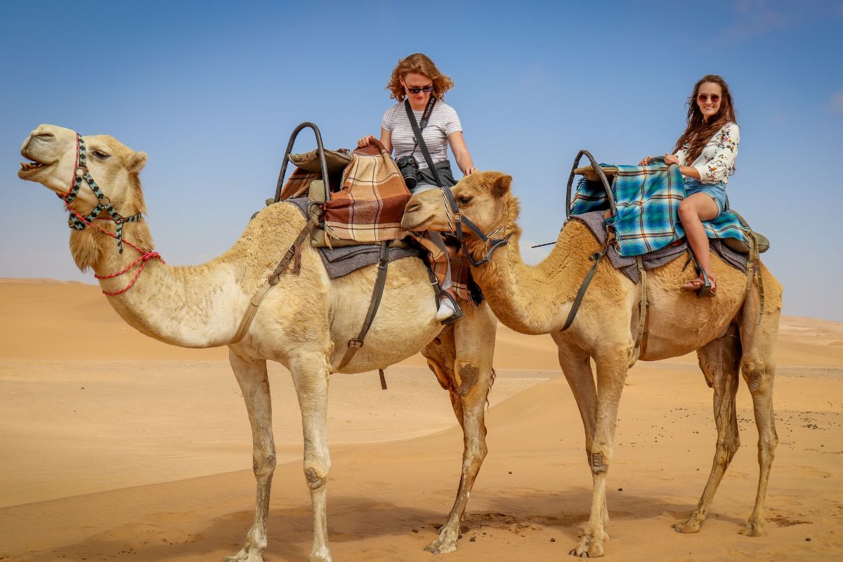 Sunset Camel Ride Marrakech
