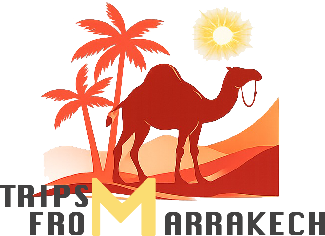 Tours From Marrakech