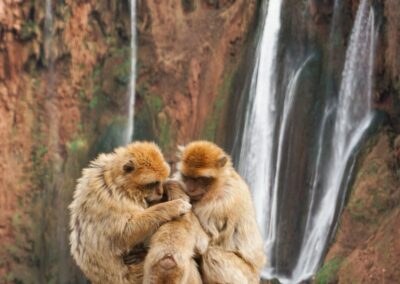 danai tsoutreli tqLc6On9KIA unsplash 1