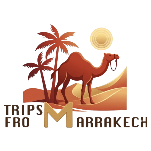 Tours From Marrakech