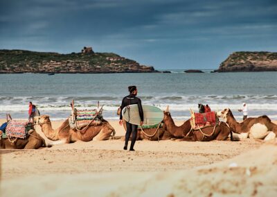 peter schulz leOF2nzJQ8 unsplash 1