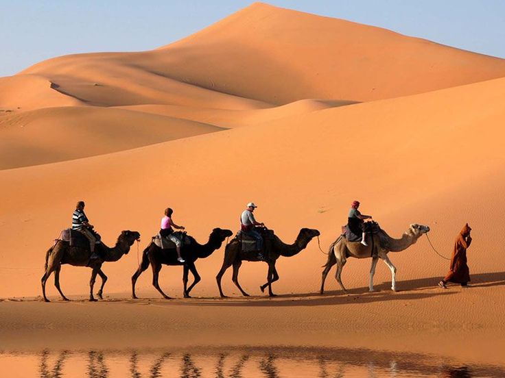 The Sahara Desert