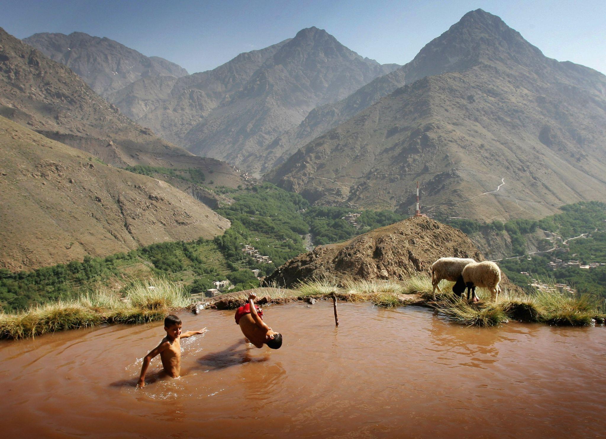 Traditional Moussem festival in Morocco featuring cultural celebrations, music, markets, and community gatherings
