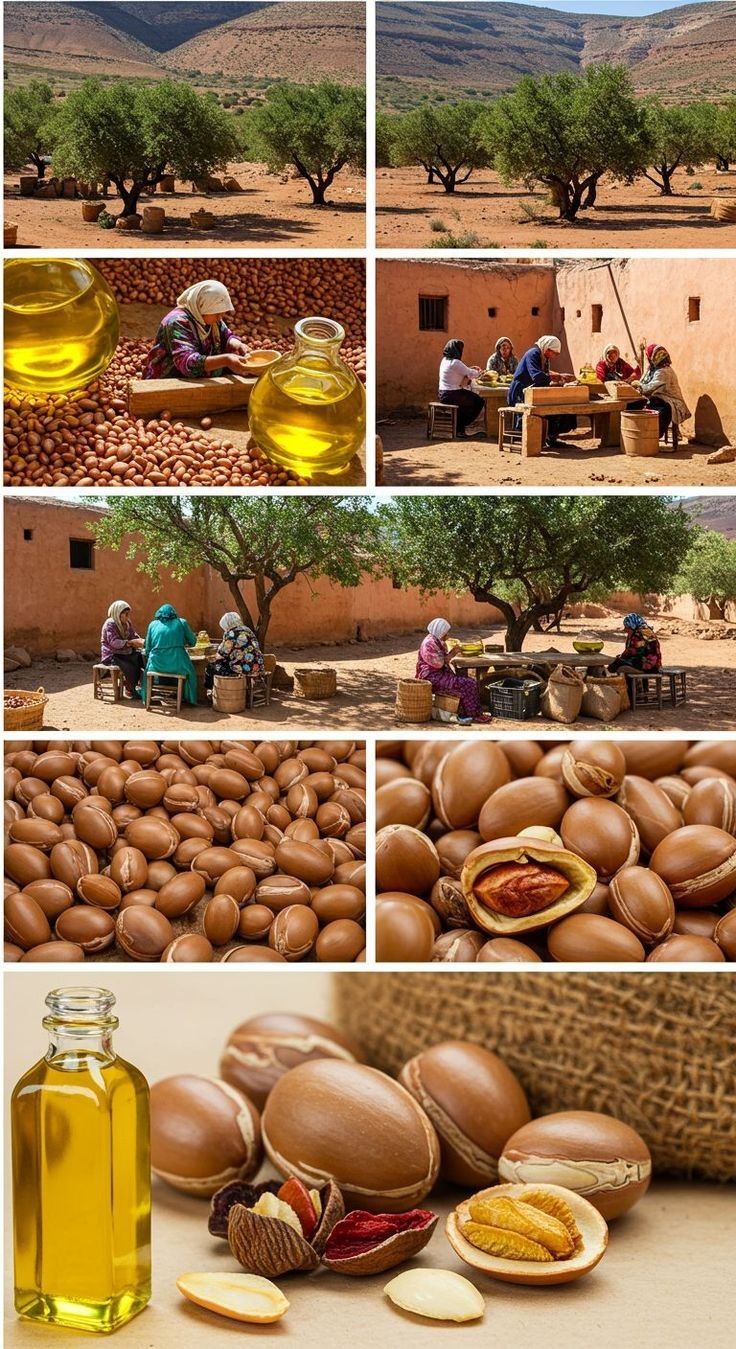 Amazigh culture in the Atlas Mountains