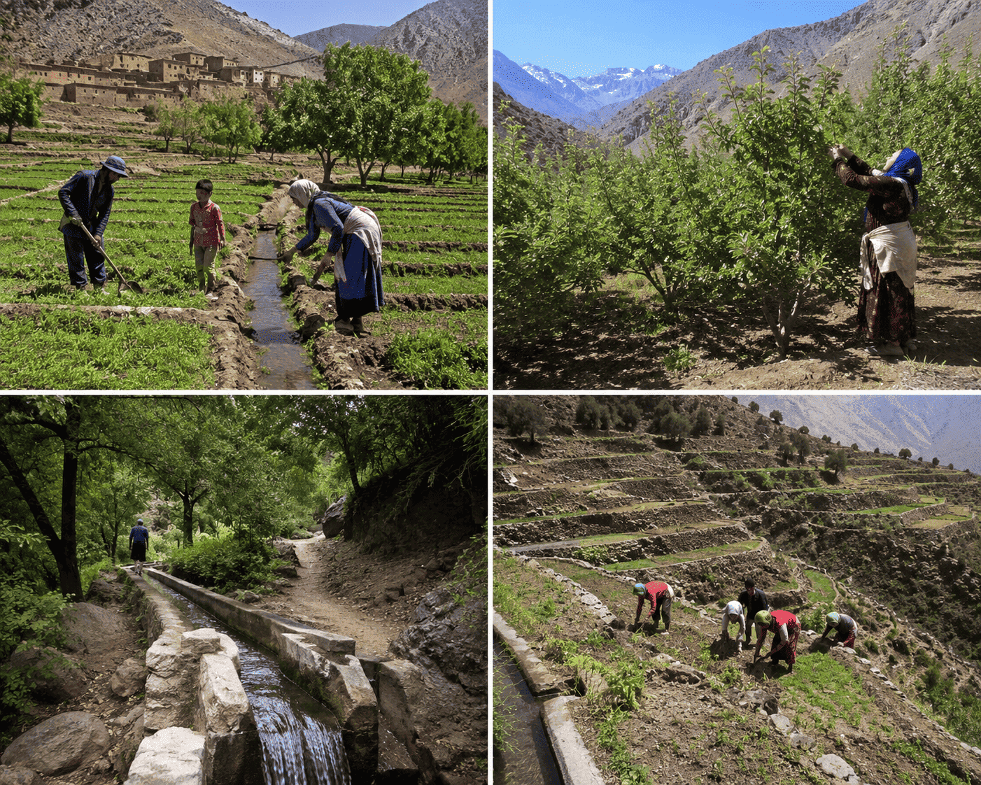Life in the Atlas Mountains