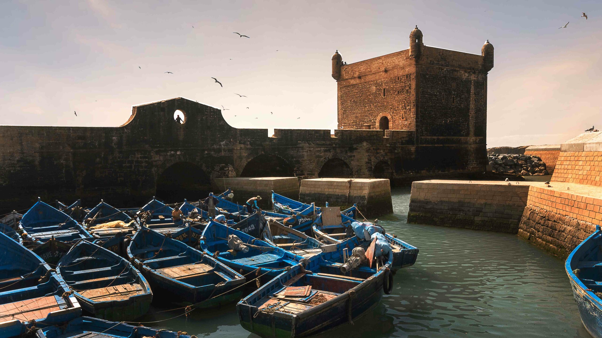 Essaouira Day Trip with Guided Medina Tour