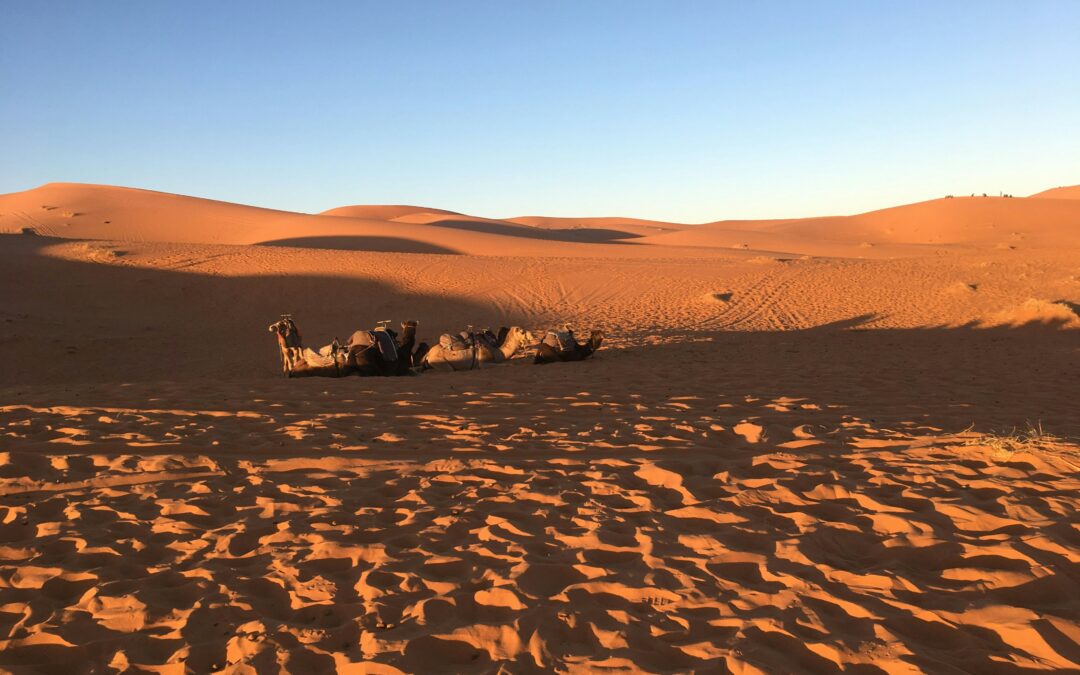 5-Day Sahara Tour from Errachidia to Marrakech: Desert Adventure 