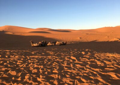 5-Day Sahara Tour from Errachidia to Marrakech: Desert Adventure 