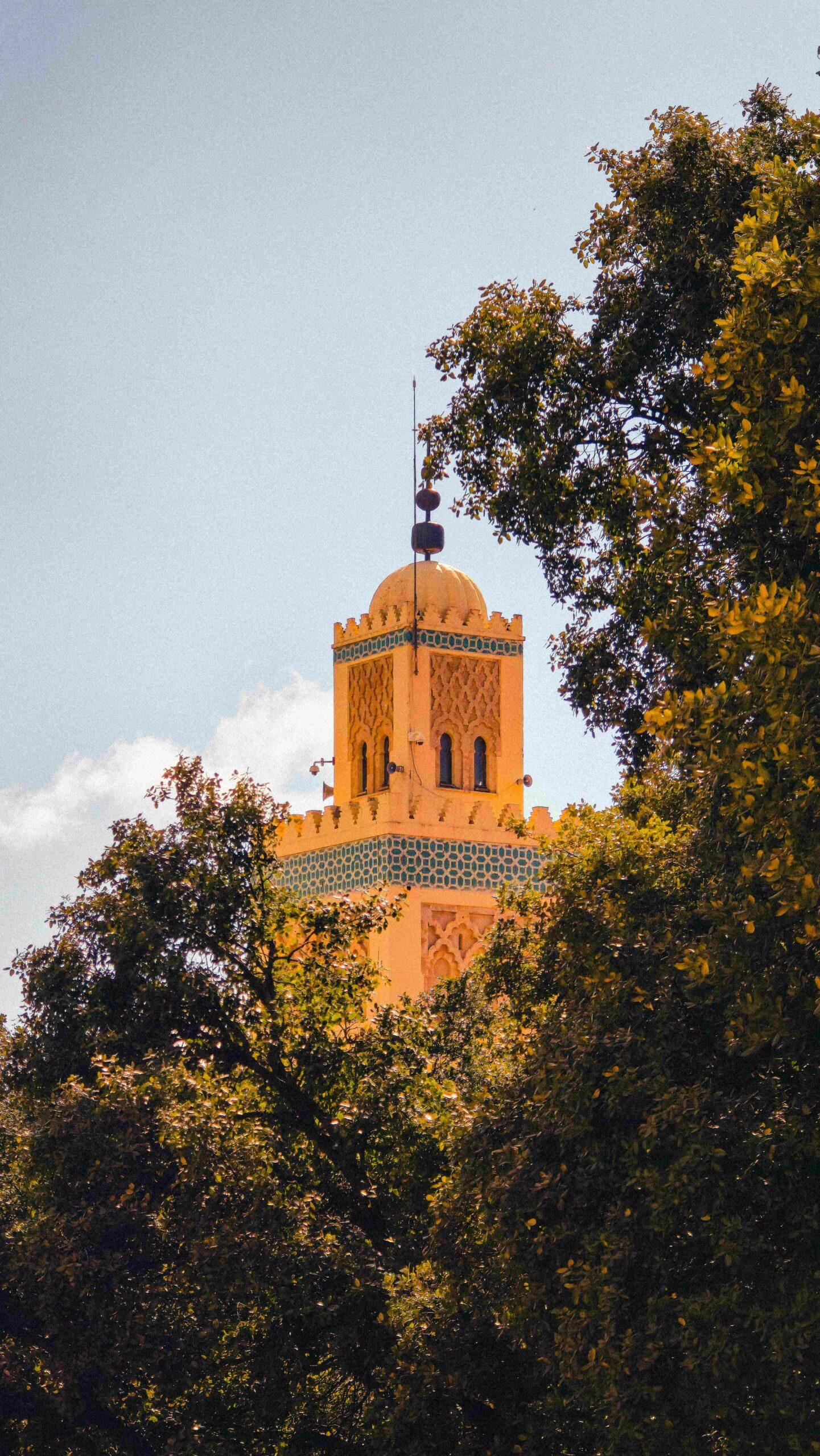  Morocco in Autumn
